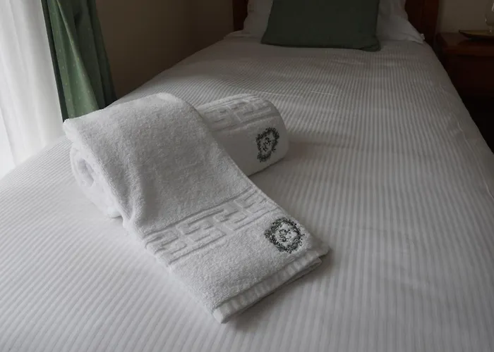 Hotel Riaza Hotel 3*